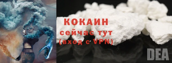 ECSTASY Богородск