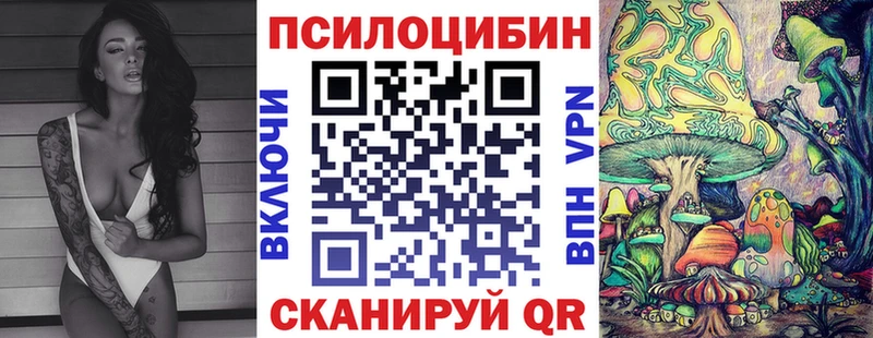 цена наркотик  Оренбург  Галлюциногенные грибы GOLDEN TEACHER 