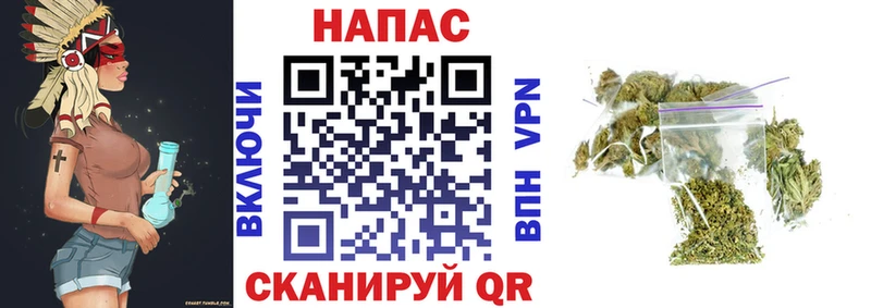 Бошки Шишки семена  Оренбург 
